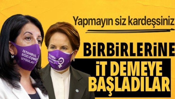Millet İttifakı'nda Ermeni soykırımı krizi büyüyor! 'Alçak PKK'ya karşılık HDP'li vekil Yavuz Ağıralioğlu'na 'it' dedi
