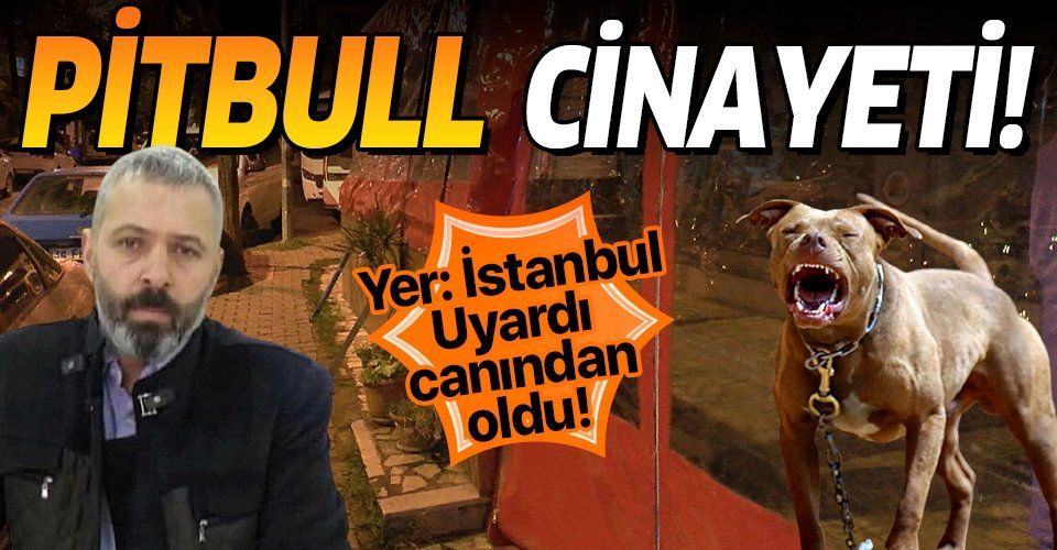 İstanbul Bahçelievler'de korkunç olay! Pitbull tartışması cinayetle sonuçlandı