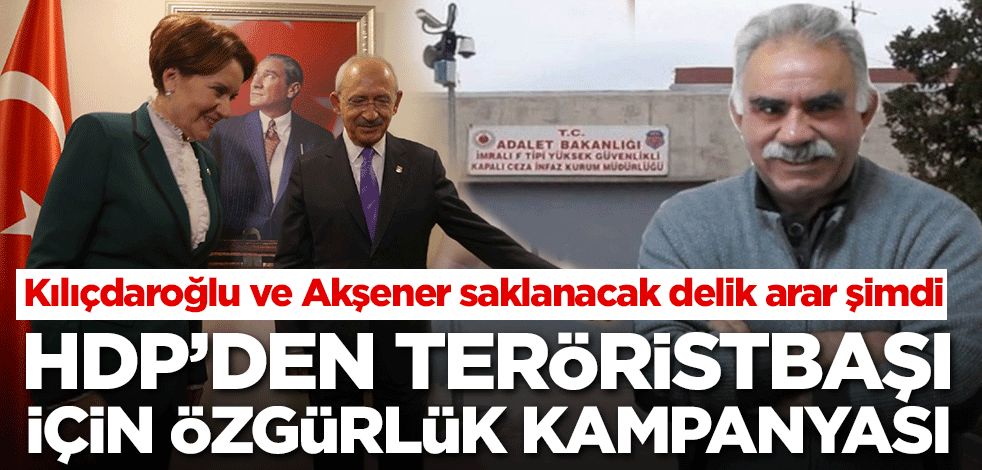 Kılıçdaroğlu ve Akşener saklanacak delik arar şimdi! HDP'den teröristbaşı için özgürlük kampanyası