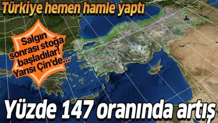 Dünya stoklamaya başladı, Türkiye hemen hamle yaptı! Yüzde 147 oranında artış