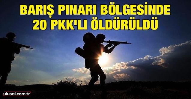 Barış Pınarı bölgesinde 20 PKK'lı öldürüldü