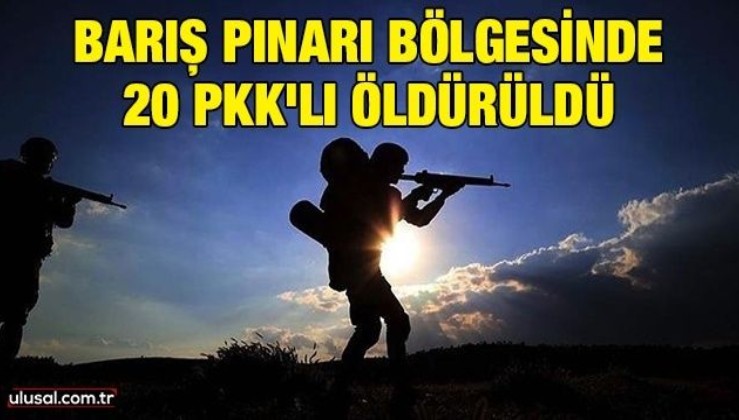 Barış Pınarı bölgesinde 20 PKK'lı öldürüldü