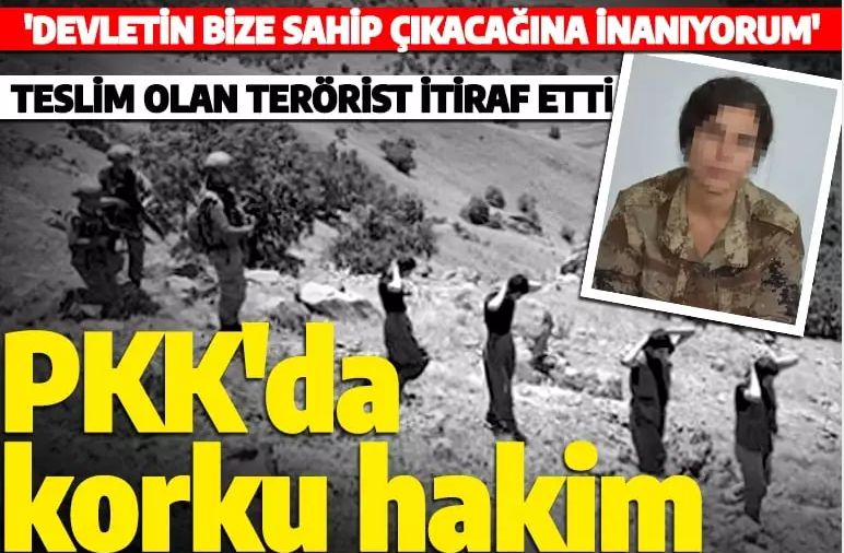 Teslim olan terörist itiraf etti! PKK'da korku var, gün geçtikçe zayıflıyor!