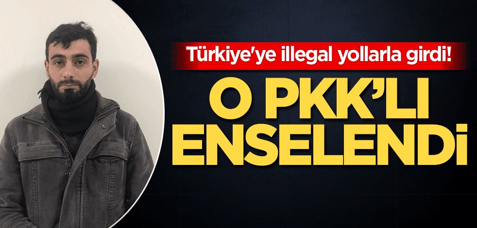 Türkiye'ye illegal yollarla girdi! O PKK'lı enselendi