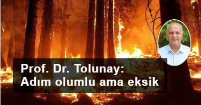Prof. Dr. Doğanay Tolunay genelgeyi yorumladı: Adım olumlu ama eksik