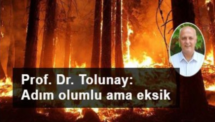 Prof. Dr. Doğanay Tolunay genelgeyi yorumladı: Adım olumlu ama eksik