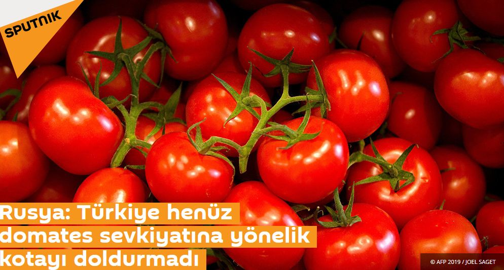 Rusya: Türkiye henüz domates sevkiyatına yönelik kotayı doldurmadı
