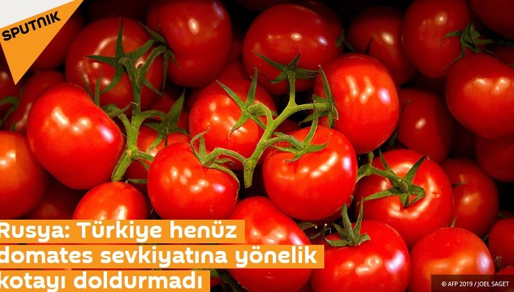 Rusya: Türkiye henüz domates sevkiyatına yönelik kotayı doldurmadı