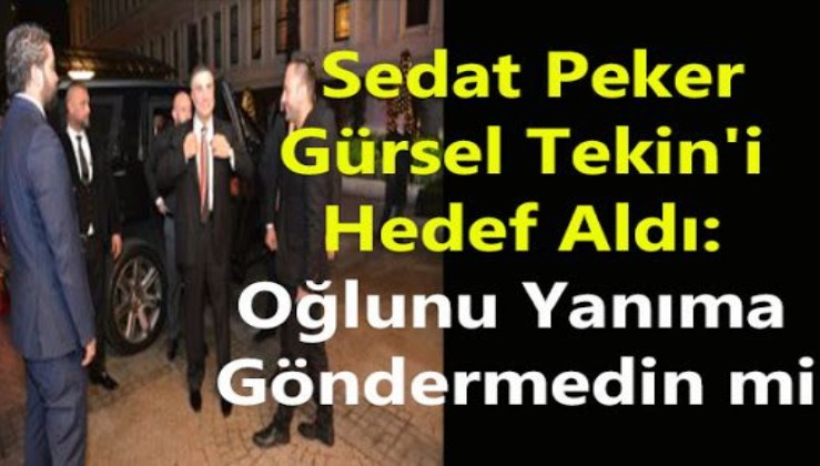 Sedat Peker'den CHP'li Gürsel Tekin'e ilişkin önemli iddialar: Evladınız Ulaş kardeşimi...