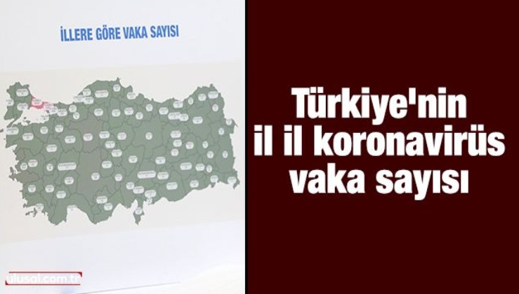 Türkiye'nin il il koronavirüs vaka sayısı: Tüm iller sıralı liste