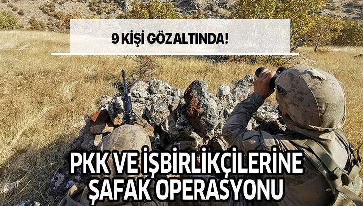 Son dakika: Mardin'de PKK'ya yönelik yapılan operasyonda 9 şüpheli gözaltına alındı