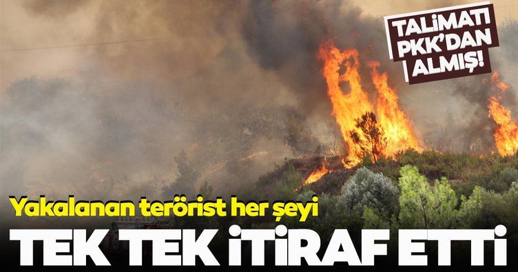 AFGANLILAR GELİYOR KORKUSUNUN YAYILMASININ ARDINDAN, PKK'NIN ORMANLARI YAKMASI !