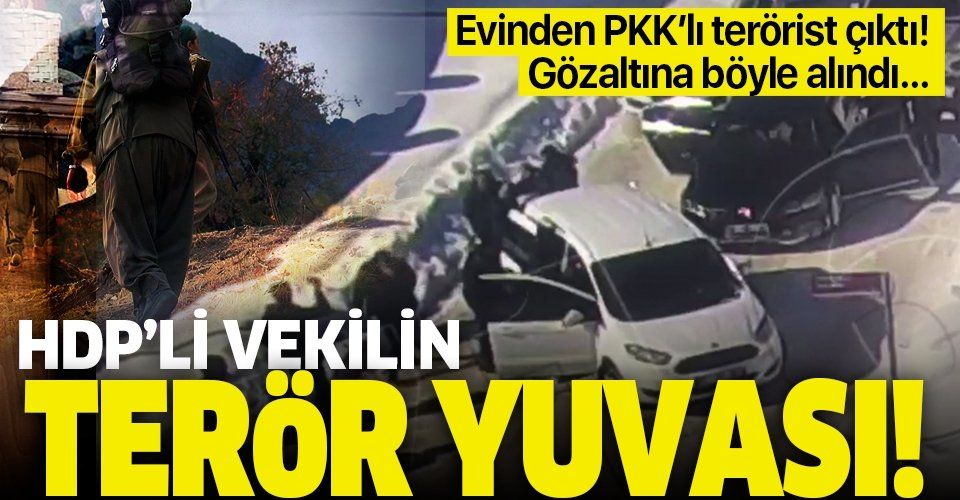 HDP Van Milletvekili Murat Sarısaç'ın terör yuvası! Evinden PKK'lı terörist çıktı.