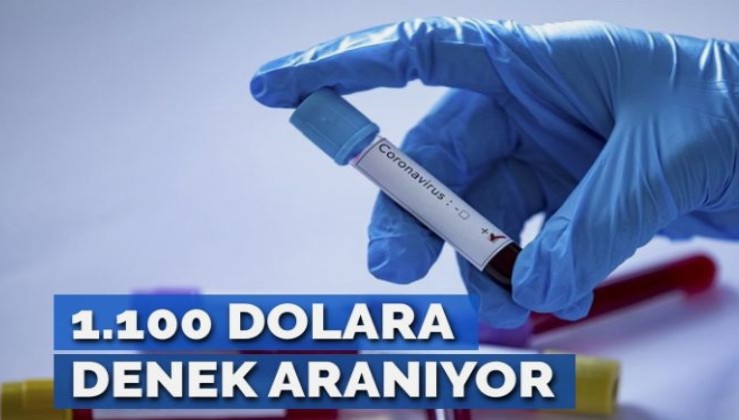 Koronavirüs aşısını 1.100 dolara test etmek için gönüllü denekler aranıyor