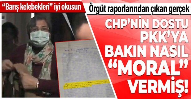 HDP'li Leyla Güven’in PKK desteği terör örgütünden ele geçen raporlarla doğrulandı! Örgüte bakın nasıl "moral" vermiş!