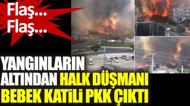 Yangınların altından halk düşmanı bebek katili PKK çıktı