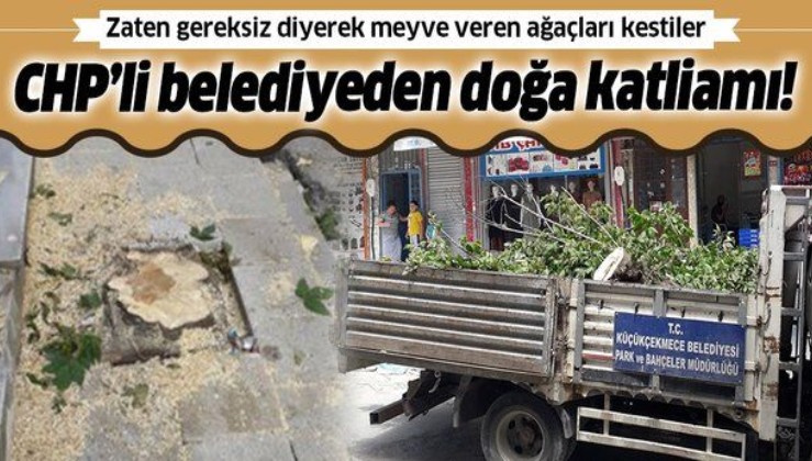 CHP'li Belediye meyve ağaçlarını kesti