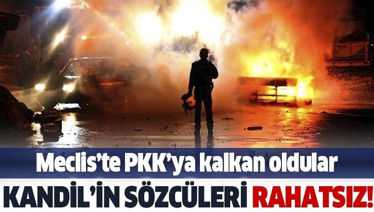 HDP yine teröre kalkan oldu! TBMM'de 'Kobani soruşturması' kışkırtması