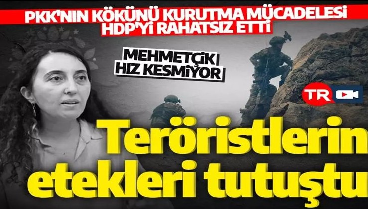 Sınır ötesinde PKK'nın kökünü kurutma mücadelesi HDP'li Ebru Günay'ı rahatsız etti!
