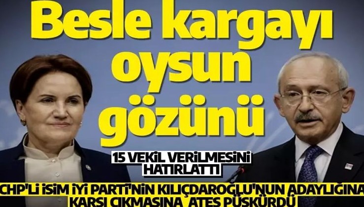 CHP'li isimden İYİ Parti'ye sert çıkış! 'Besle kargayı oysun gözünü'
