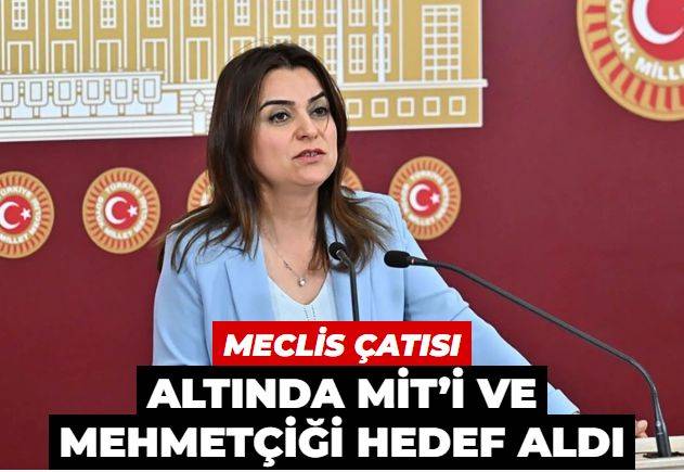 Meclis çatısı altında MİT'i ve Mehmetçiği hedef aldı