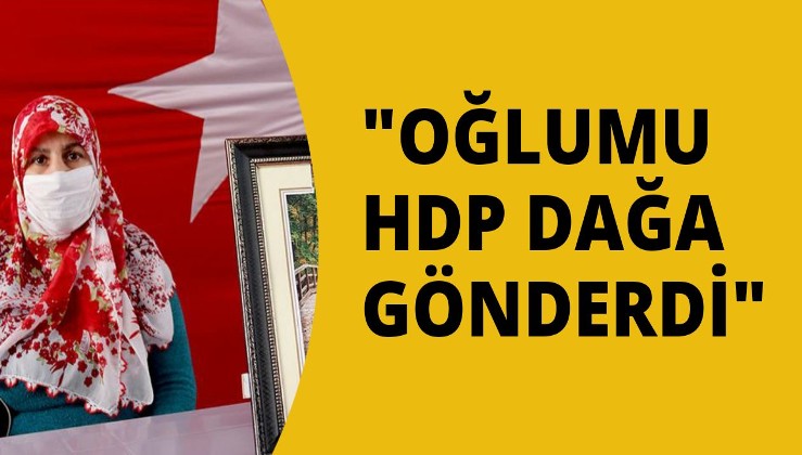 Acılı anne: Oğlumu HDP dağa gönderdi!