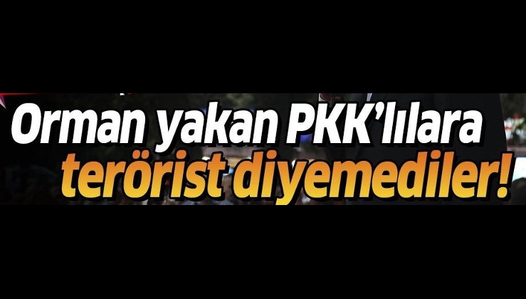 Orman yakan PKK'lılara terörist diyemediler!.