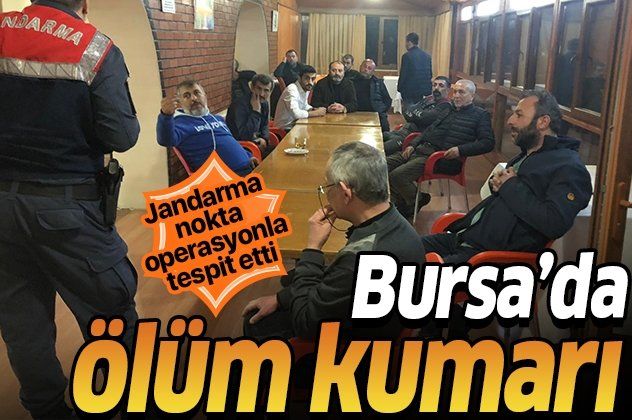 Son dakika: Bursa'da jandarma ekiplerinden operasyon!