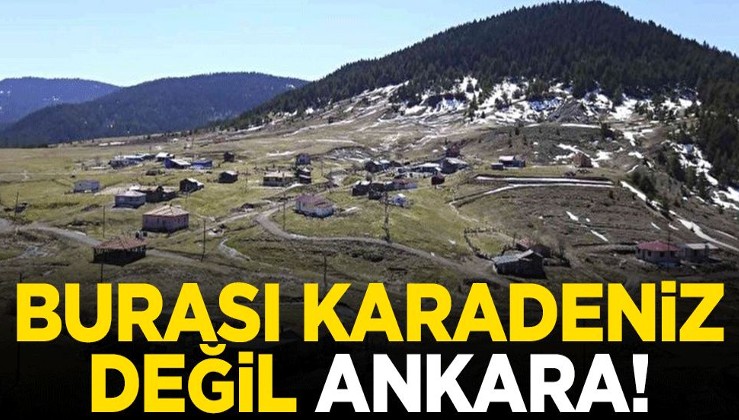 Eşsiz manzaralı yaylalar... Burası Karadeniz değil Ankara!