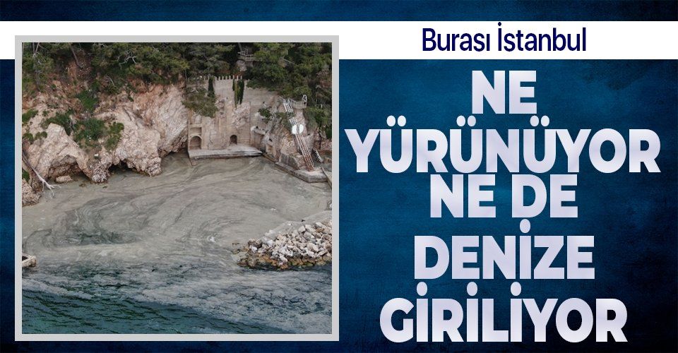 İstanbul'un dibindeki Büyükada sahillerini 'salya' sardı! Kokudan durulmuyor