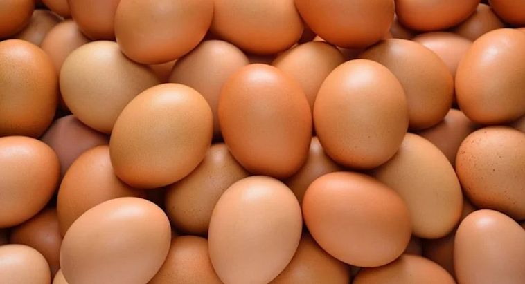 Her gün yumurta yemek kalp hastalığı riski taşıyor