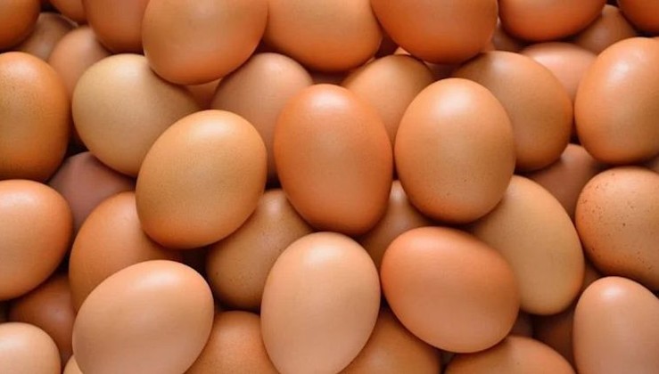 Her gün yumurta yemek kalp hastalığı riski taşıyor