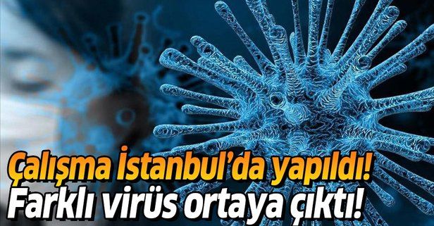 Çalışma İstanbul'da yapıldı! Farklı virüs endişesi ortaya çıktı!