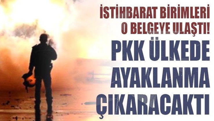 PKK ayaklanma çıkaracaktı!