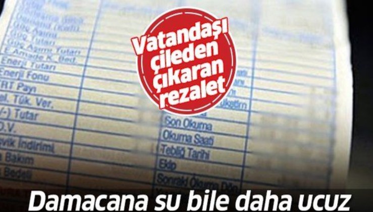 CHP’li Mersin Büyükşehir Belediyesi'nin hayali faturalarına tepki