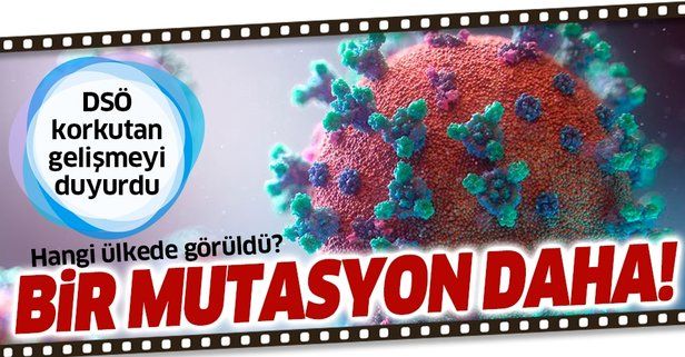 DSÖ'den flaş açıklama: Japonya'da koronavirüsün mutasyona uğramış başka türü tespit edildi