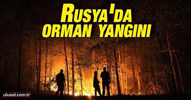 Rusya'da orman yangını: 217 noktada yangınlarla mücadele ediliyor