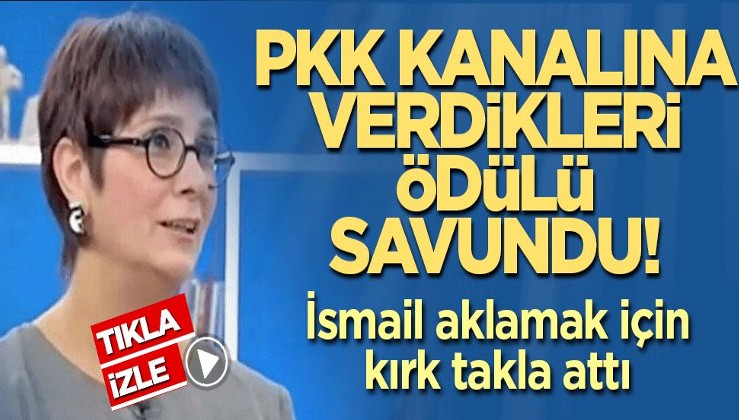 PKK kanalına verdikleri ödülü savundu! Fox aklamak için kırk takla attı
