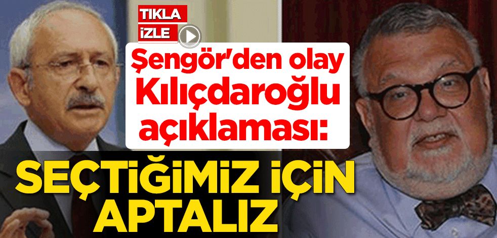 Celal Şengör'den olay Kemal Kılıçdaroğlu açıklaması: Seçtiğimiz için aptalız