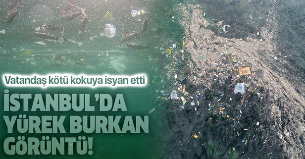 Son dakika: Yenikapı'daki kirlilik su altı drone kamerasında: Balıklar yaşam savaşı veriyor