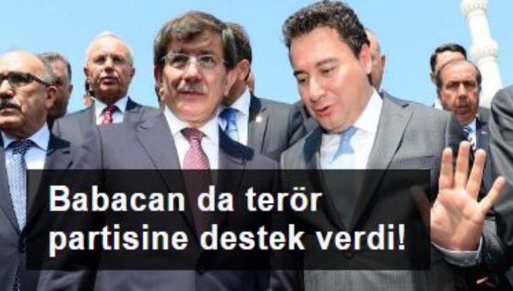 Davutoğlu'ndan sonra Babacan da terör partisi HDPye sahip çıktı