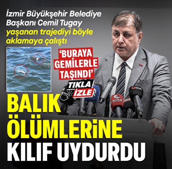 İzmir Büyükşehir Belediye Başkanı Cemil Tugay balık ölümlerine ilişkin konuştu: Bu balıklar buraya gemilerle taşındı