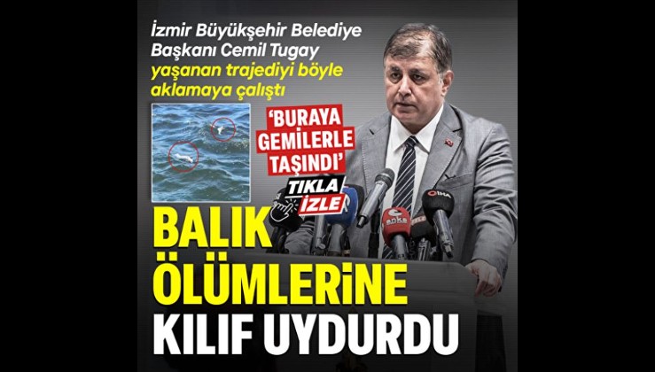 İzmir Büyükşehir Belediye Başkanı Cemil Tugay balık ölümlerine ilişkin konuştu: Bu balıklar buraya gemilerle taşındı