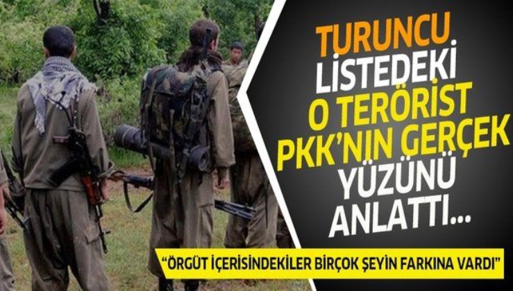Turuncu listedeki o terörist PKK'nın gerçek yüzünü anlattı!