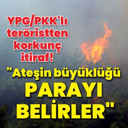 İfadesi ortaya çıktı! YPG/PKK'lı teröristten orman yangınlarıyla ilgili itiraf