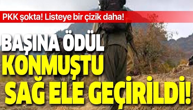 Son dakika: PKK'ya büyük şok!
