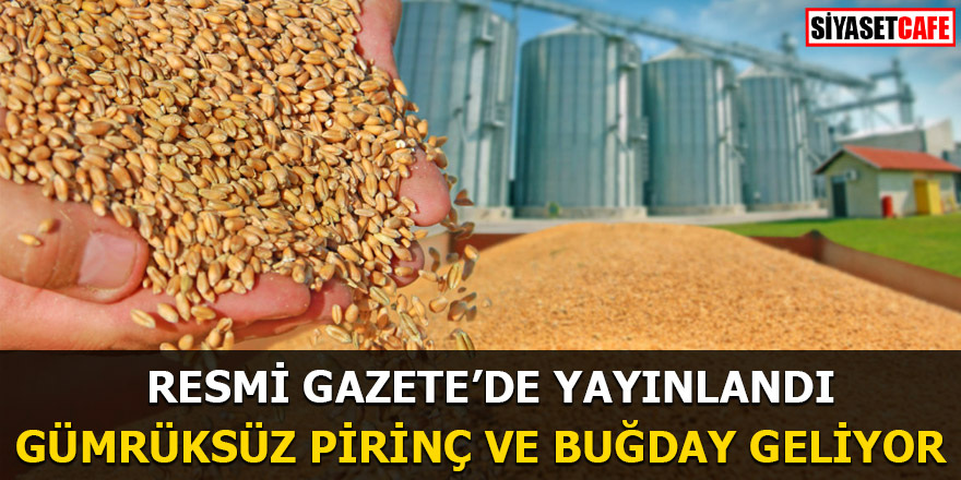 Resmi Gazete'de yayınlandı Gümrüksüz pirinç ve buğday geliyor