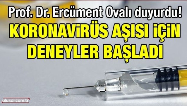 Prof. Dr. Ercüment Ovalı duyurdu! Koronavirüs aşısı için deneyler başladı