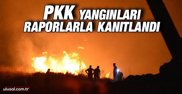 PKK yangınları raporlarla kanıtlandı