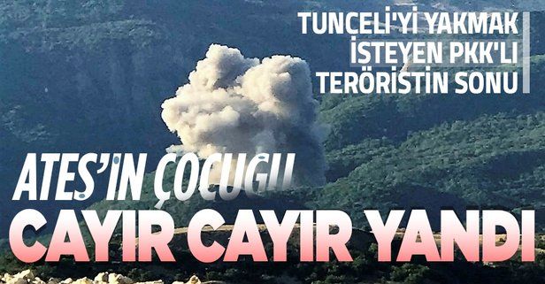 Tunceli'de ormanı ateşe veren PKK'lılara operasyon: 1 terörist öldürüldü